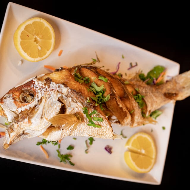 Red Snapper.