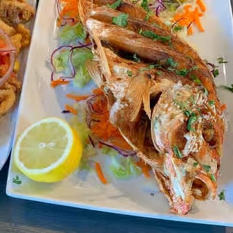 Red Snapper.